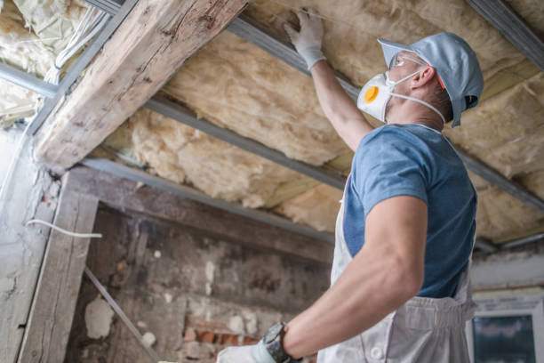 Best Insulation Maintenance and Repair in Gray, TN