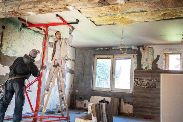 Best Commercial Insulation in Gray, TN