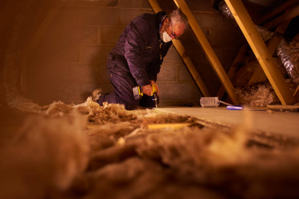 Types of Insulation We Offer in Gray, TN